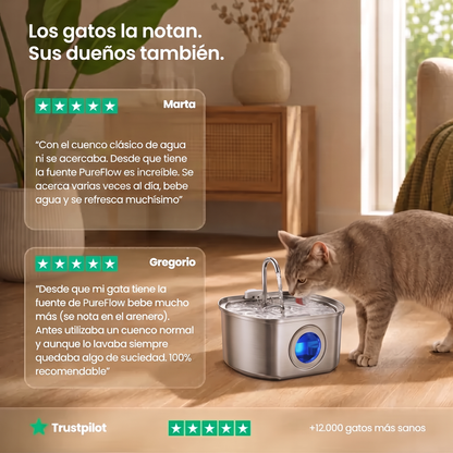 PureFlow™  - Fuente de Agua Purificada para Gatos